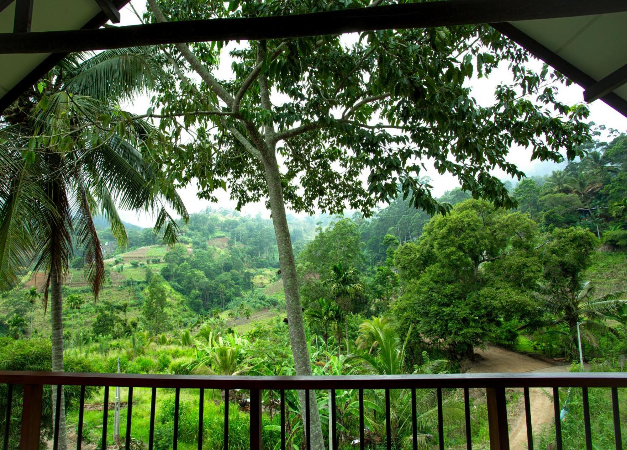 Bed and Breakfast Ella Blue Heaven Exterior foto