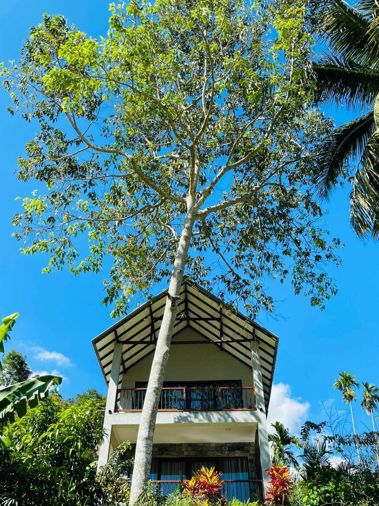 Bed and Breakfast Ella Blue Heaven Exterior foto
